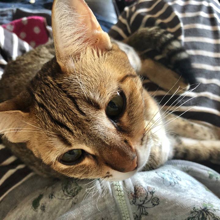 F31ab805 5227 4832 808d cc9f7917715d 1604123242751