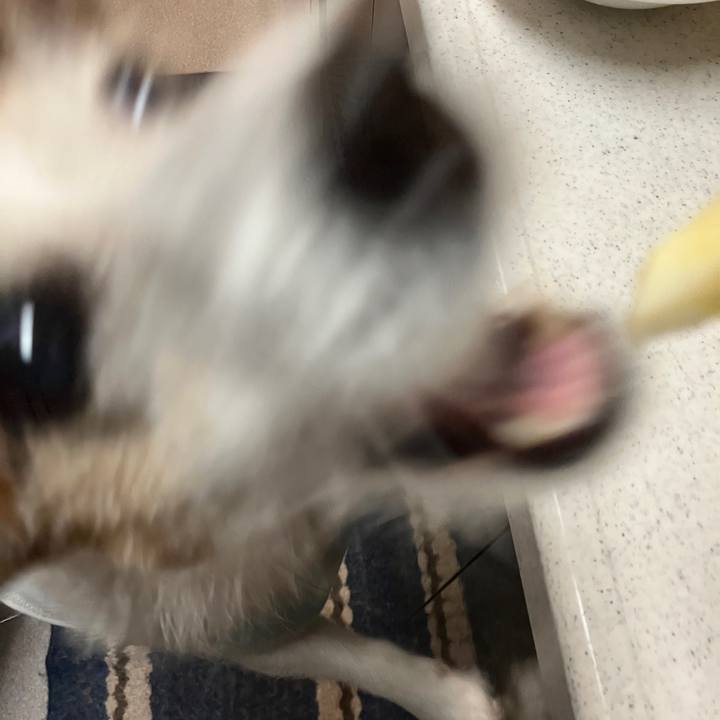 F31ac86f 0db5 49b2 ba44 9537ceab2966 1702511089621