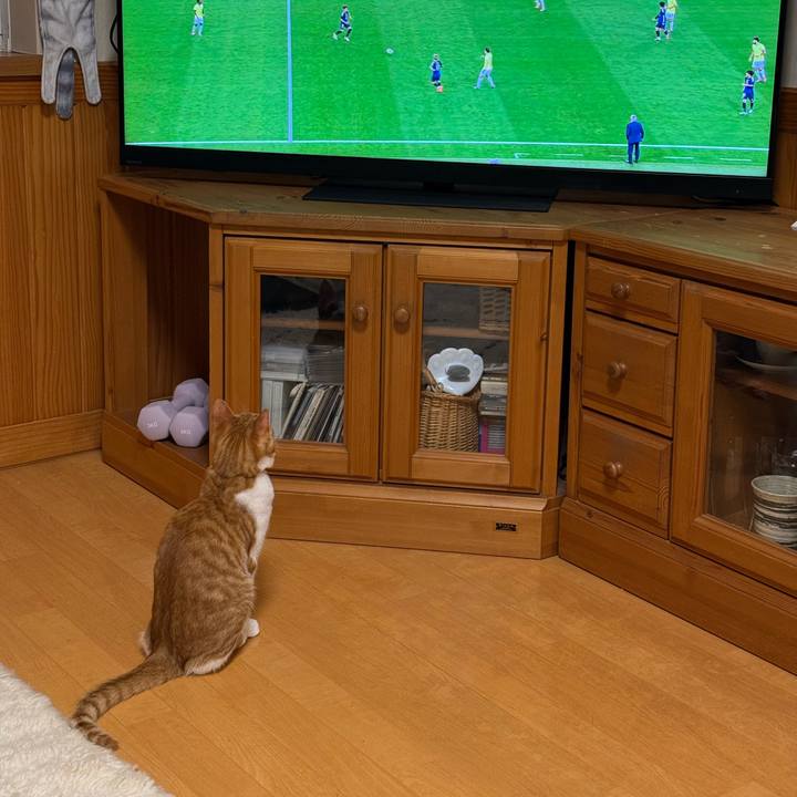 F31ad63a bfd0 4c02 acef 8dbf18016663 1761024916962