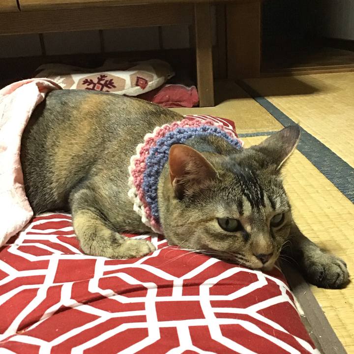 F31ad83e 6645 4d8a b569 4af76713295f 1617282063962