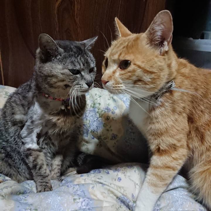 F31b1683 a7de 435c a4b0 f5be9002d5a6 1590667315508