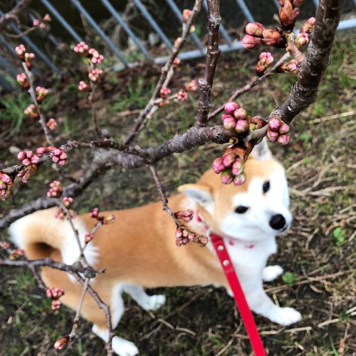 F31b391c 23a5 444d b527 7317dd999805 1551520400004