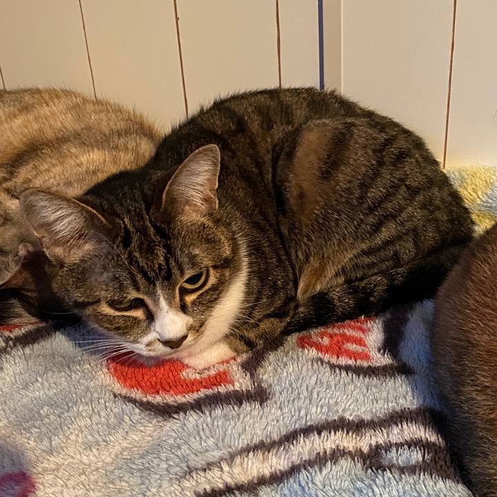 F31b6629 e0bc 44fe b159 545ef6a9abf6 1590054027586