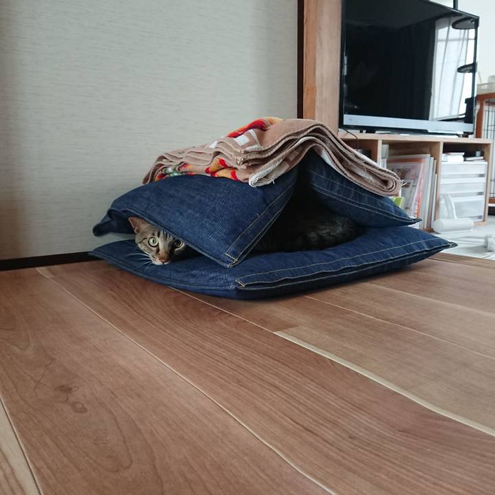 F31b6890 38ec 49f4 b518 03b3bf4852b4 1527312361344