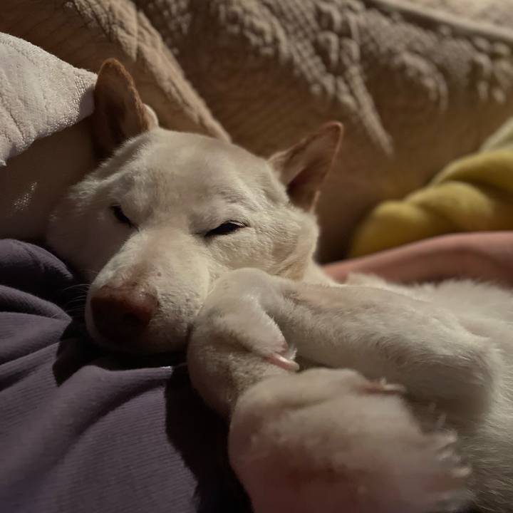 F31b9acd 9fa5 439c b360 c885d1912f45 1648986309327