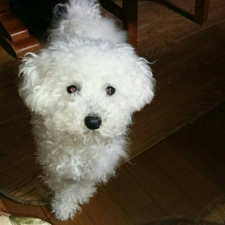 F31bffa9 59e7 4a0e a2a7 f2fbbe08a0f3 1514786554292