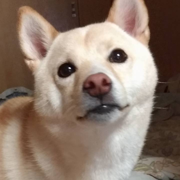 F31c248c e328 4f6d a579 b05976afaad1 1533168374340