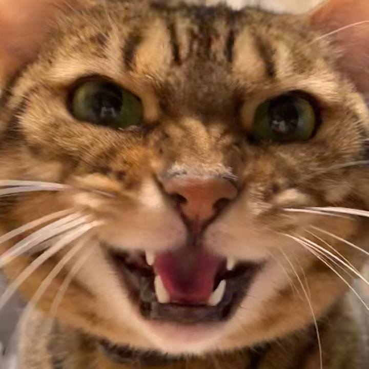 F31c7368 5cb3 4de4 9870 86002f206ed5 1547856853477