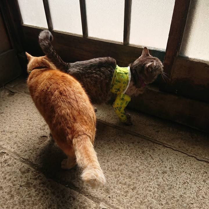 F31c93a2 2b04 4c1d ac75 0f23e2ed2f79 1586398831159