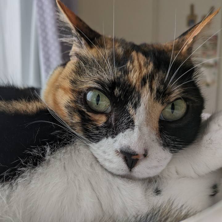 F31cc30f 3f79 469a a6dc cd9e29048841 1715424548163