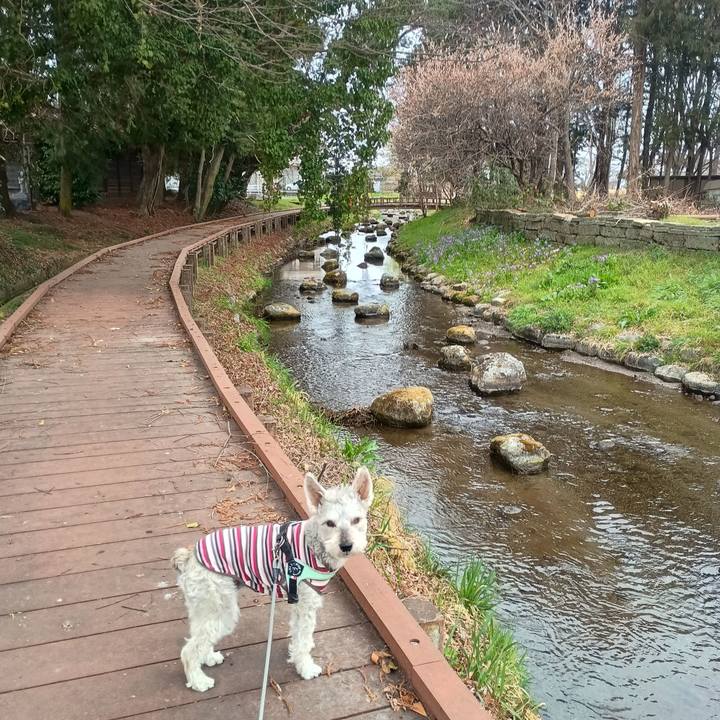 F31ccc3a b672 4afe 89b5 2b069d990b98 1774181604970