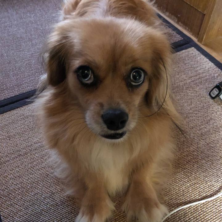 F31cdd8e 6377 4570 ba7b c4ad80dda631 1567208659545