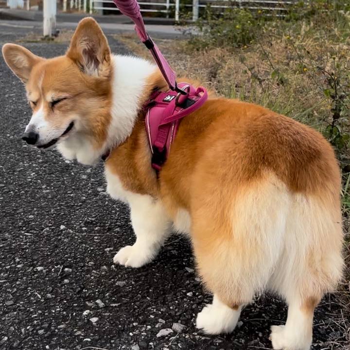 F31d005c ee69 4881 9166 5550f72692c8 1732690700157