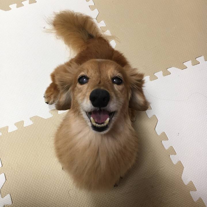 F31d0561 c1ba 4002 8697 84746a206b70 1634215547073