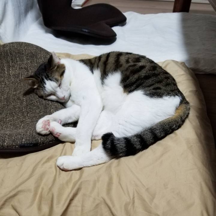 F31d0fd3 62c4 4d6f a3c9 e3bcf2d17e1b 1608586500200