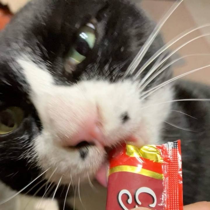 F31d9bc8 7ae4 4ef0 9252 6efb466b9c10 1741062919843