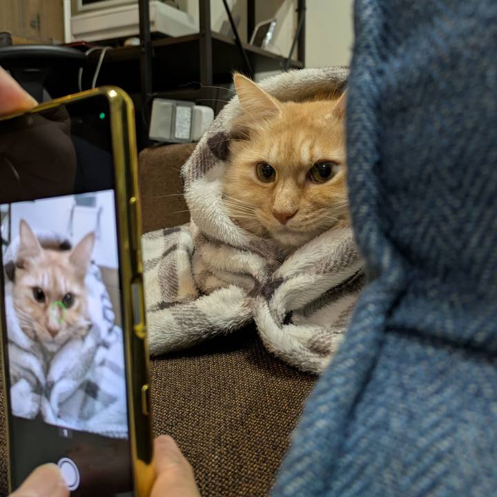 F31da70d eb43 4b21 a83d b4c3ff93885f 1737466991671