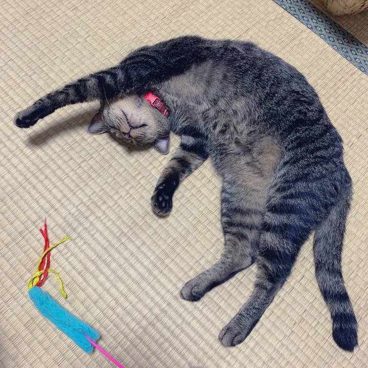 F31dee04 460b 4b45 962d 2f40f8e33df9 1565354332270