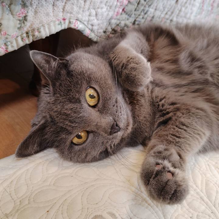 F31dfeb5 a9ed 4ba8 85e4 32e58d3efa9c 1772244158461