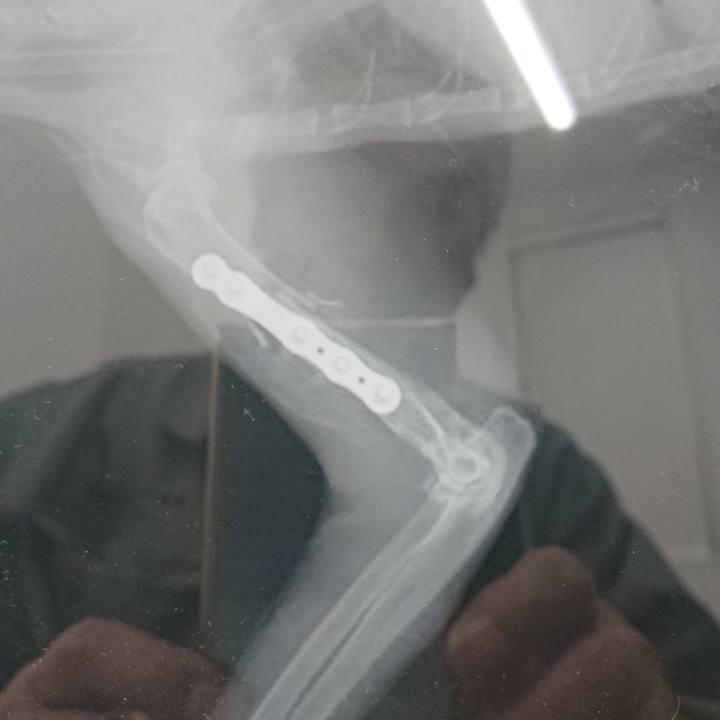 F31e2331 e086 4ab8 803d 2bfe6e1b83a8 1585817548101