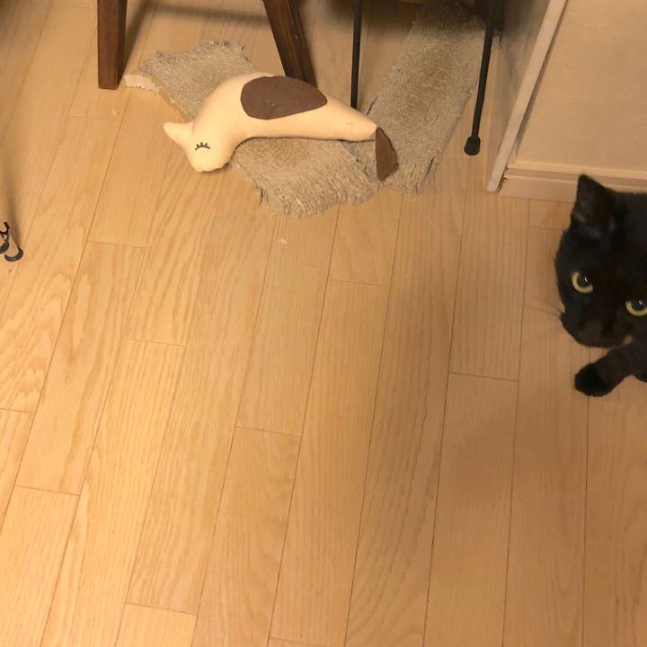 F31e2363 0f34 4100 a264 a10e97720bdf 1573302140655