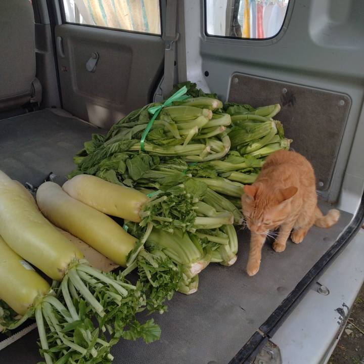 F31e4934 f050 4d34 8db9 01640b82a264 1668826848507