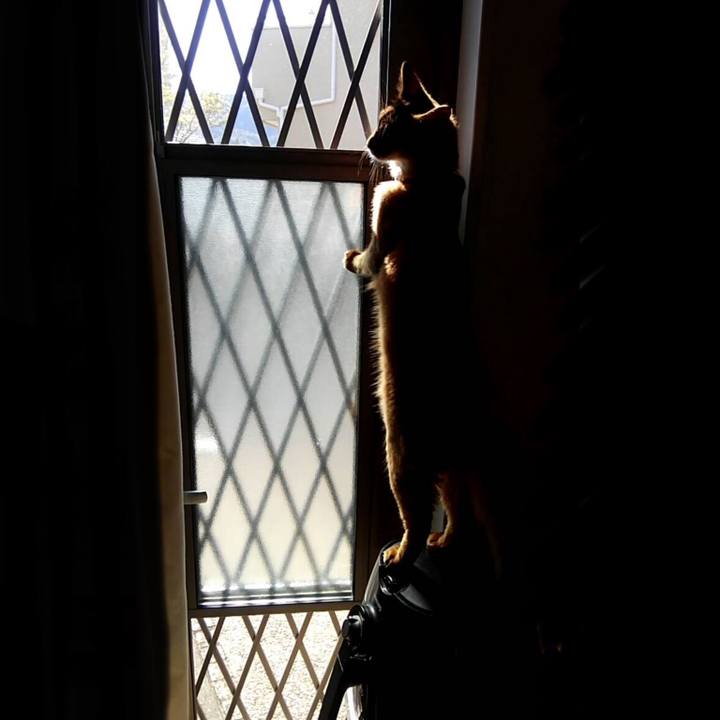 F31edddf f20c 4da5 8ed3 4890b52be3e3 1586990970362