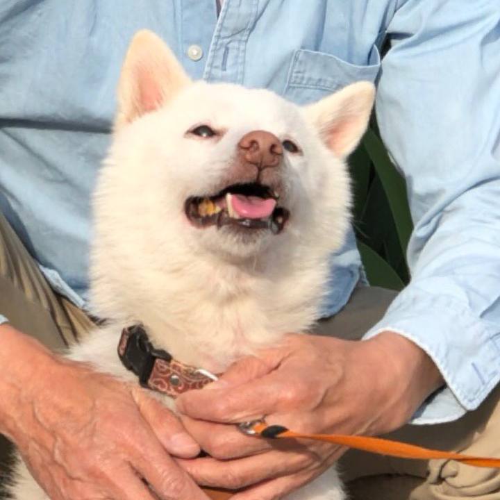 F31f236c 509f 4396 9b95 56c765245ab9 1559743391450