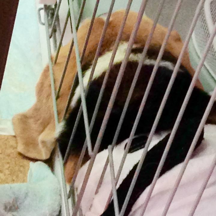 F31f742c 36a0 40ba 8f8b 191b1f31a7bb 1755651266123