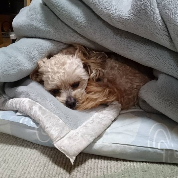 F31f78ce fdfd 4125 a9b3 7252e869a315 1558179040936