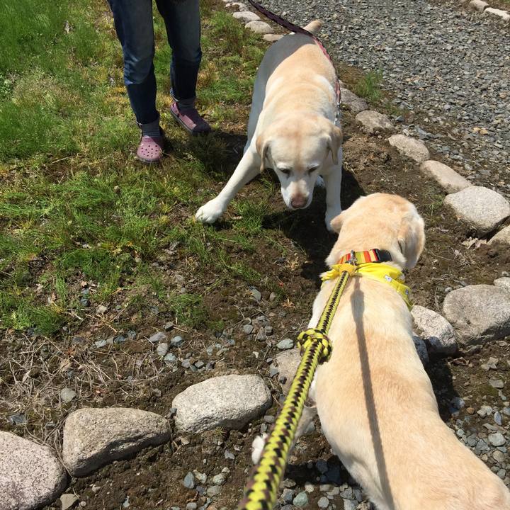 F31f7ed1 8035 45f5 9ec5 12e0761a69e4 1525511718331