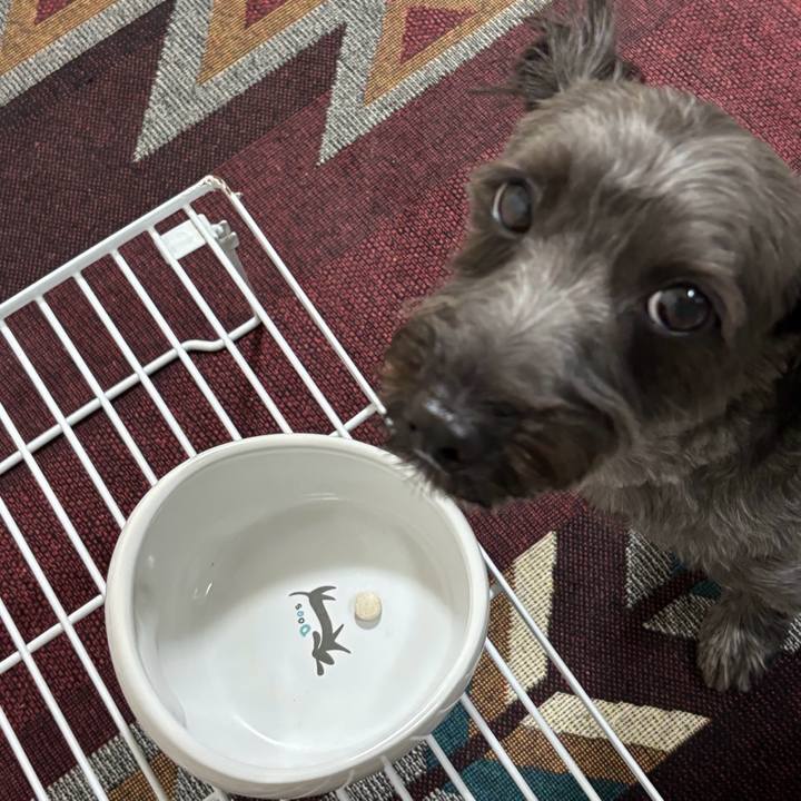 F31f8688 21ad 4bd3 a274 cbffec48edc6 1756040072653