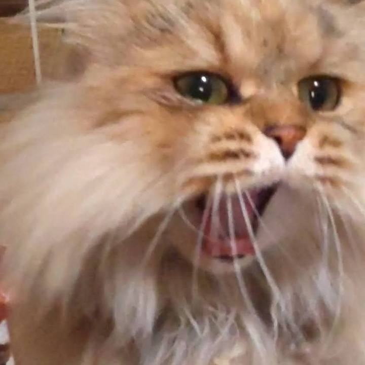 F32004f0 09a5 4f56 b5f9 9ac0dd6a1846 1636856067369