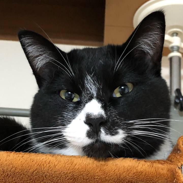 F32022e7 4d36 4c41 99b3 d0c458f1ebf8 1638934648063