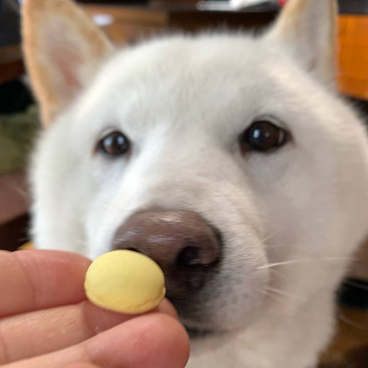 F3203982 6f2c 449d b01d dbed075f7b68 1613175051261