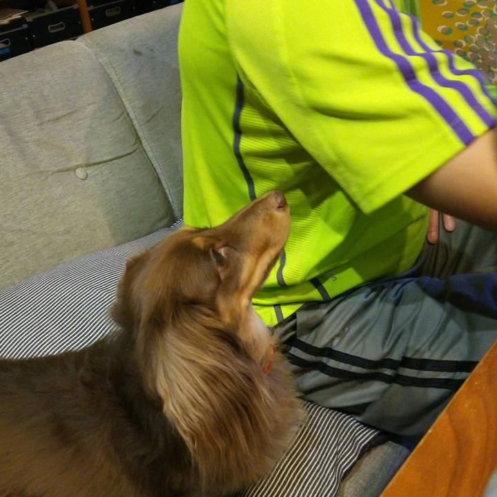 F320560b 2a40 47b3 8b91 6f513c3e42f6 1508588186627