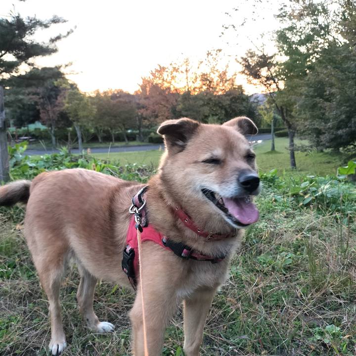 F3206a85 5ad7 443f a124 cb166ff38636 1760883084579