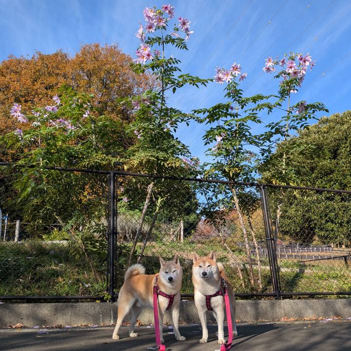 F3208714 b6da 4219 92b5 71cd5e4d6913 1763961258659