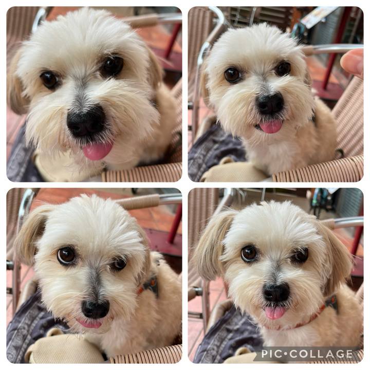 F32095e7 6f87 4808 9a80 c47651395bb2 1757829931774