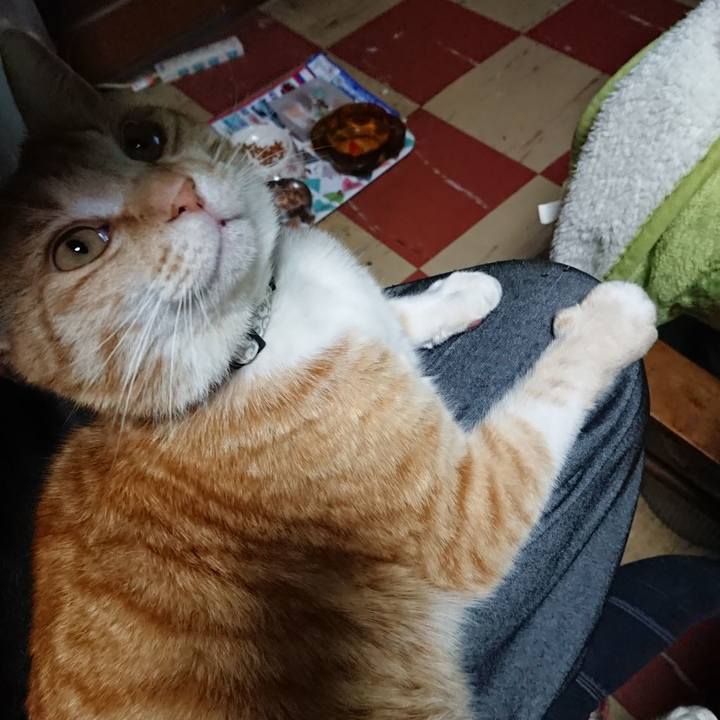 F3209868 6c36 4e6d a1bb 9e6302f9882c 1587547008997