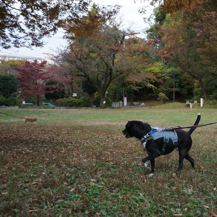 F320bb95 8291 41c6 ae22 756fd99184ae 1762567974055