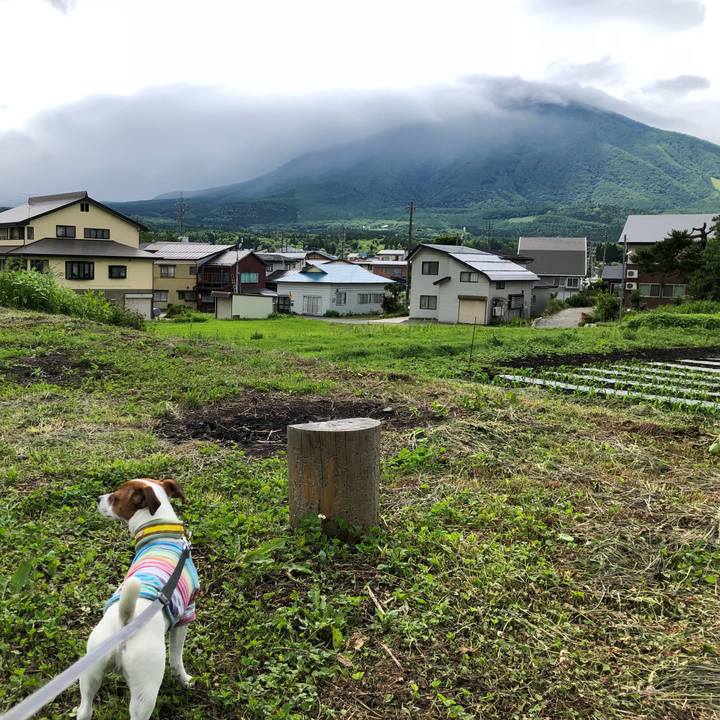 F320c3b0 643f 43e6 af26 f7348a08e1d3 1529470313094