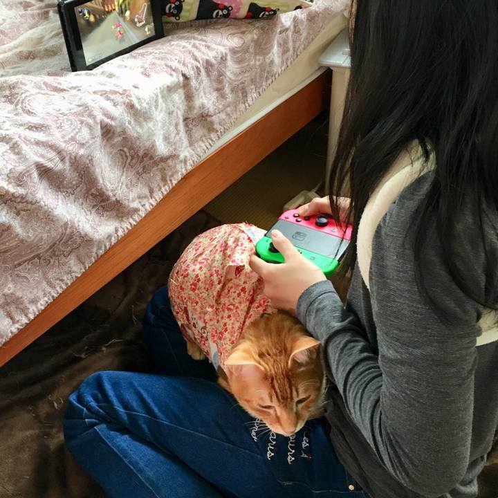 F320cded 0514 4901 86f3 a52d44e3fc72 1518517313708