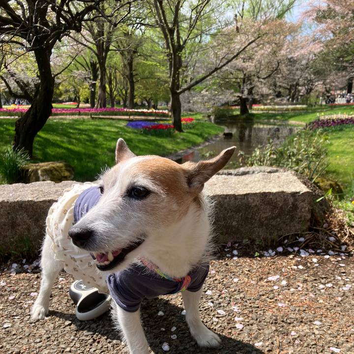 F320d5a7 9f7c 4cc3 be38 4c76347437c8 1744506167948