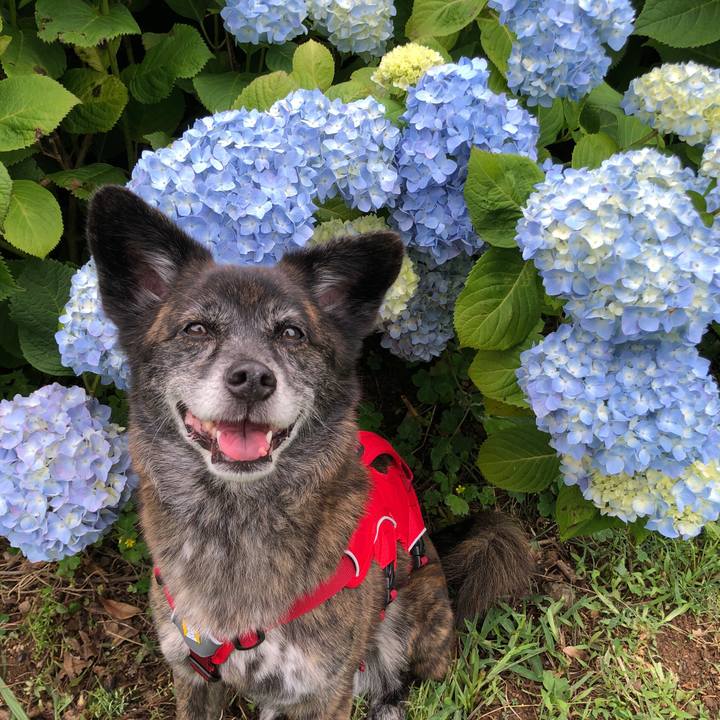 F320df67 89c7 4116 9b0b 0acd1fb869df 1621322249608