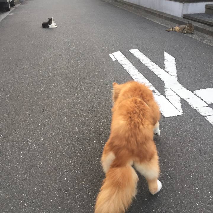 F321046a 059a 4b2a a52d 74e8193defa5 1568899448070