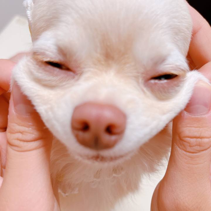 F3212c9a e706 45cc 9d6e ad7c317c4f48 1657366499406