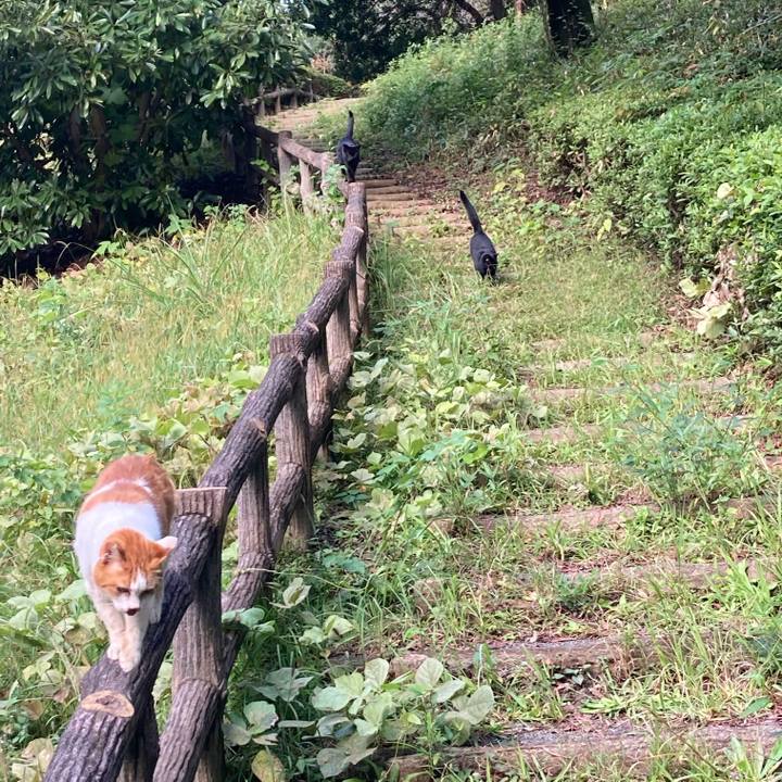 F3216bb7 96e5 4712 b0b0 06b14c6ad9c2 1603529190413