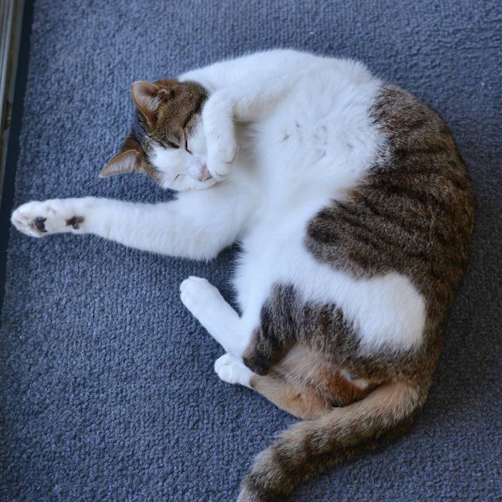 F32171e2 d1a5 4cc2 8fd6 86b48fceb61d 1541605432905