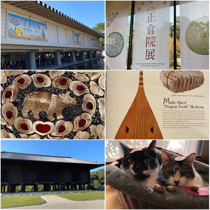 F321a9ac f7e0 4d65 a561 95af6963e0cb 1604366192292